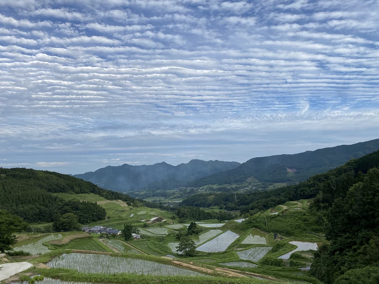 image_7