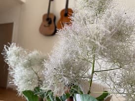 thumbnail_image_5